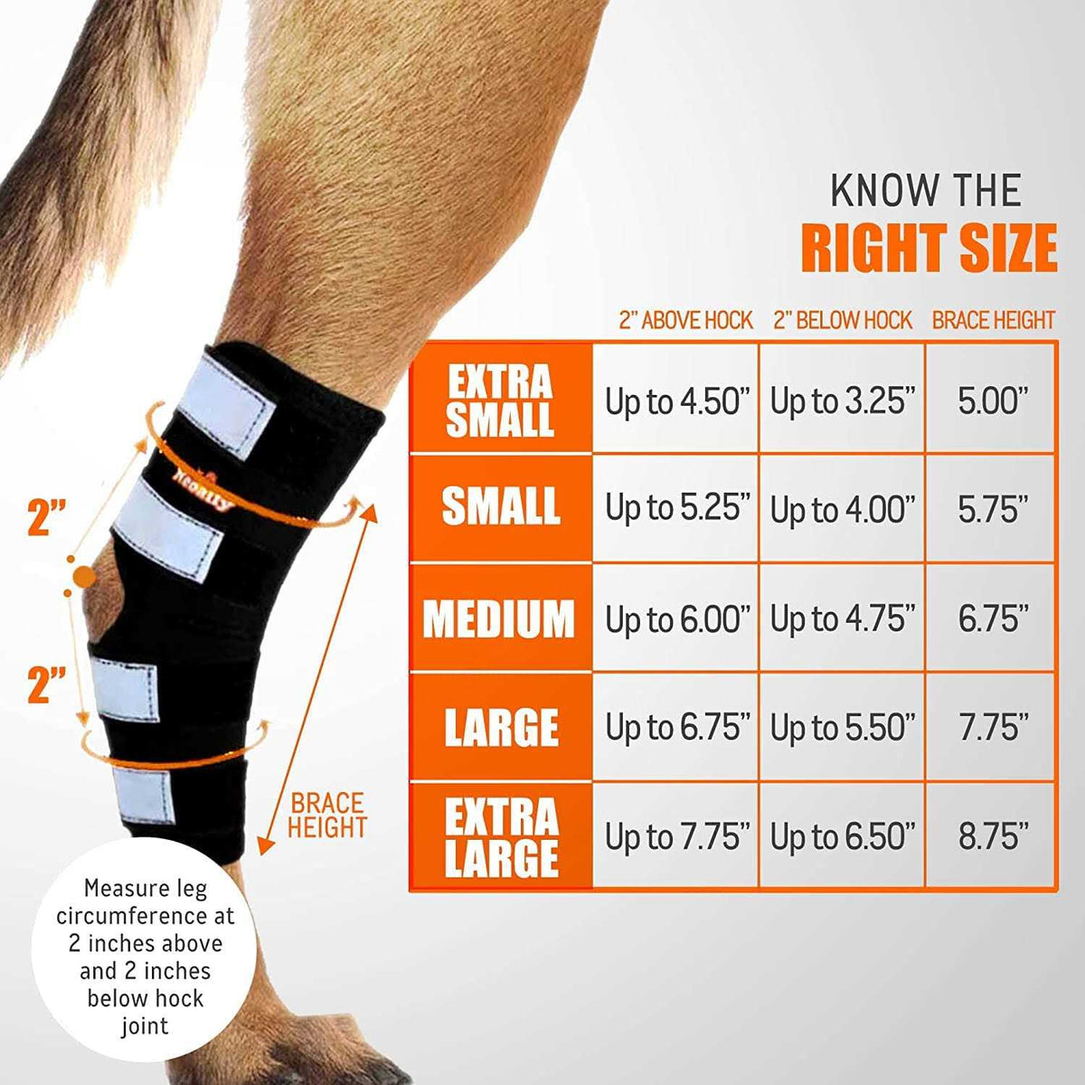Dog Hind Leg Brace with Reflective Straps R694