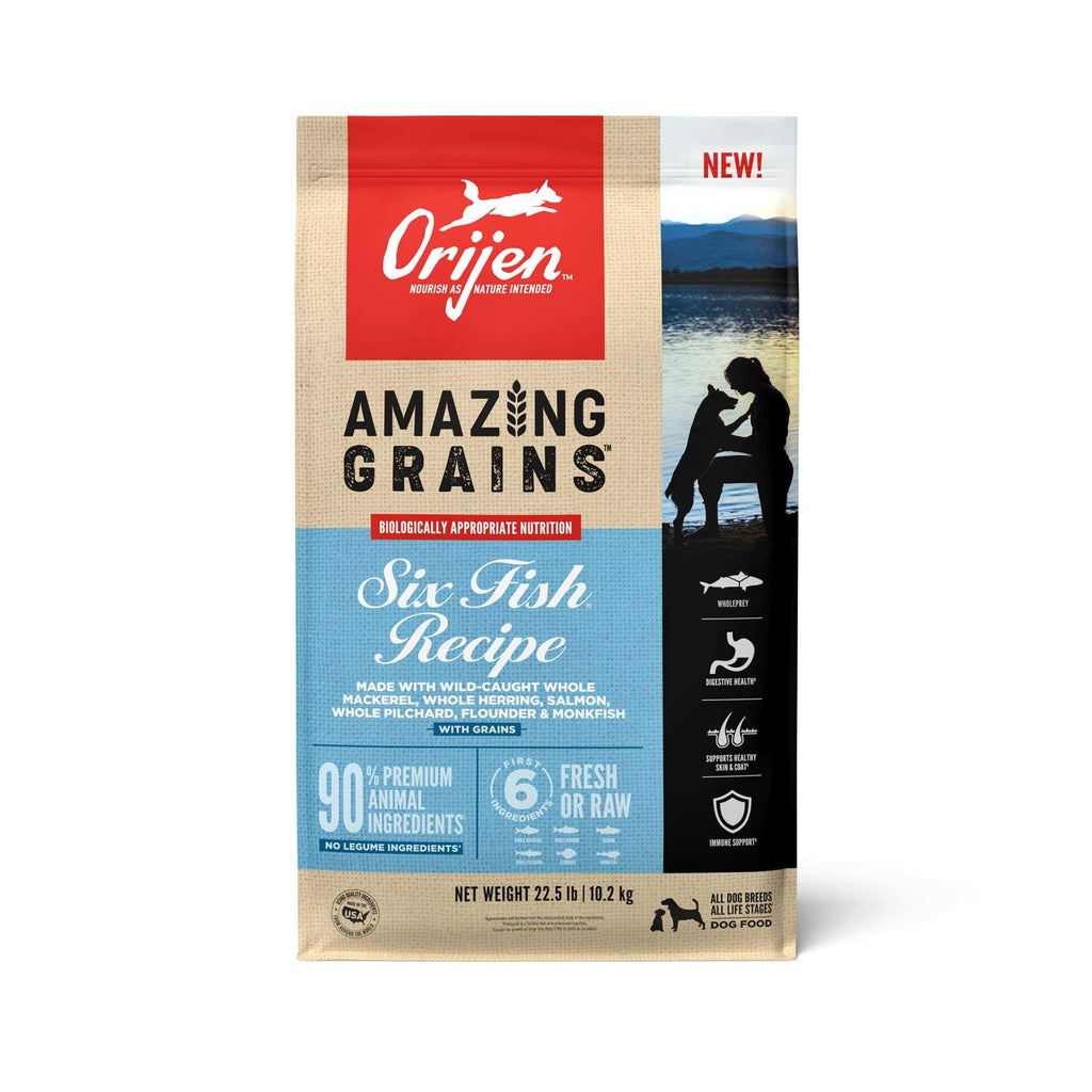Dry Dog Food Y570386