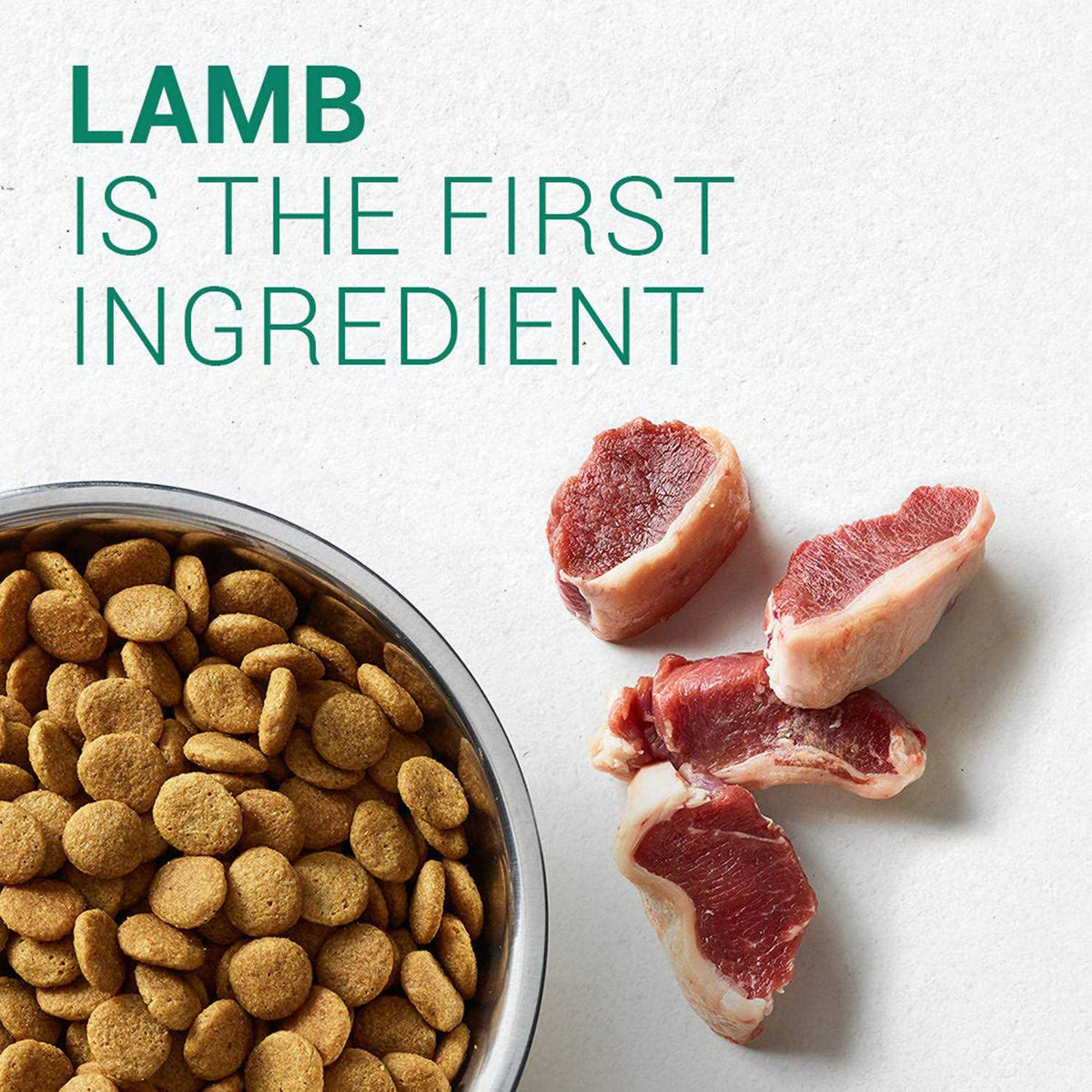 Adult Dog Food Lamb & Rice J6867
