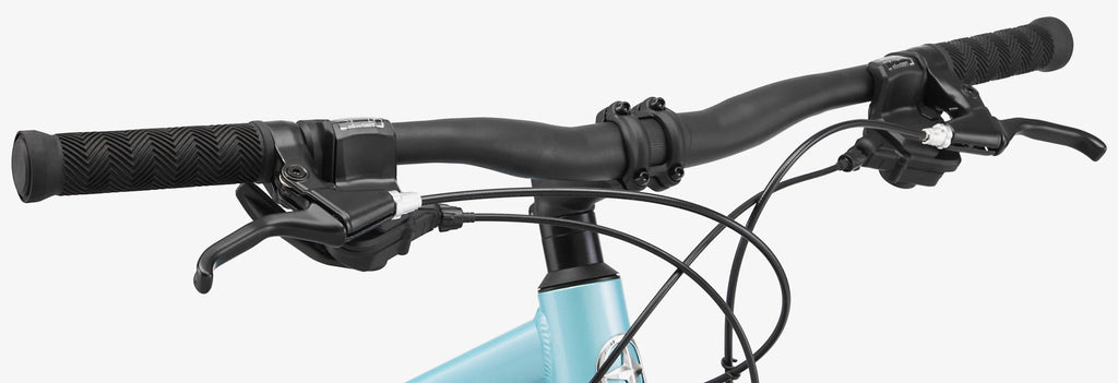 Blue 21 Speed Women's Mountain Bike A439054