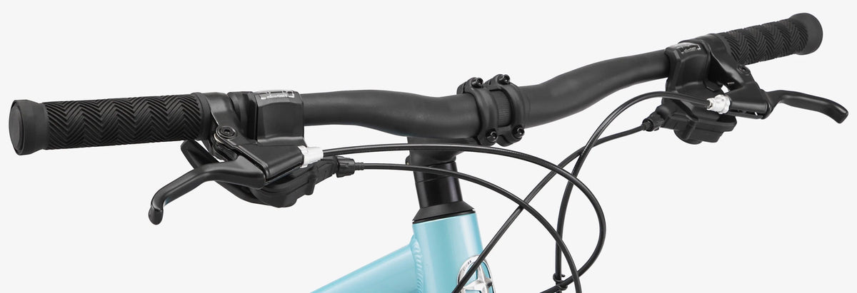 Blue 21 Speed Women's Mountain Bike A439054