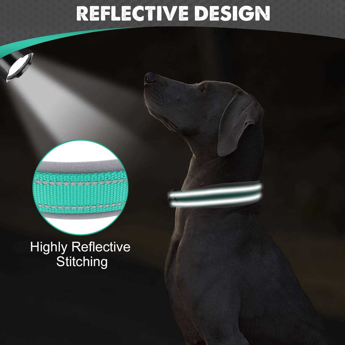 Reflective Neoprene Padded Nylon Adjustable Dog Collar U192