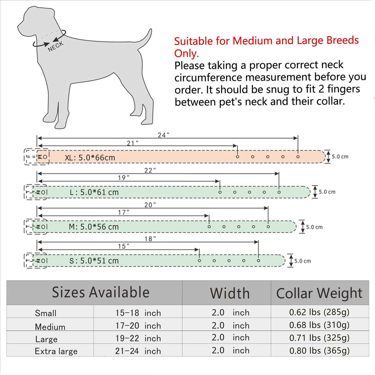 Leather Dog Collar 2 Inch T137883
