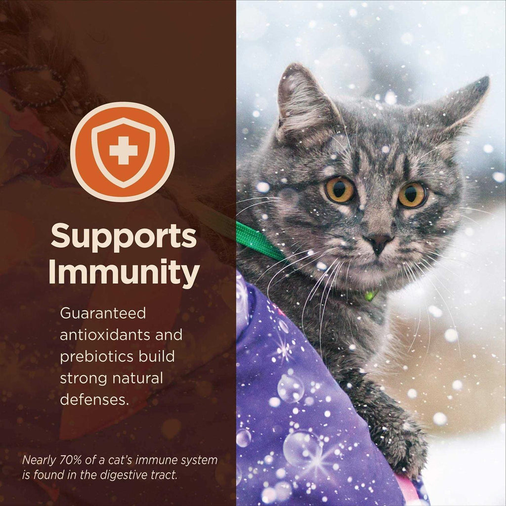 Chicken & Rice Dry Cat Food Q938