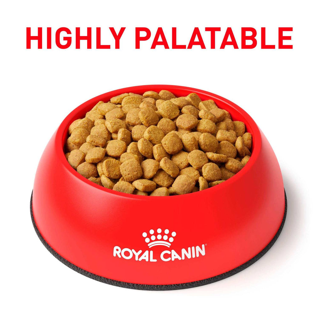 Weight Control Dry Cat Food R675994