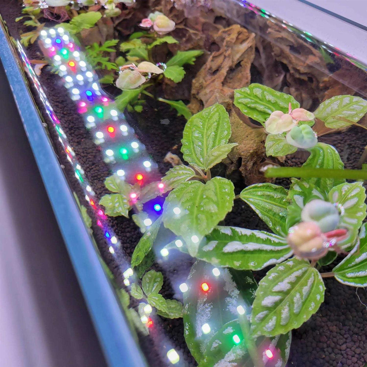 Full Spectrum LED Aquarium Light P2395