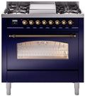 Blue Dual Fuel Natural Gas Range C5757