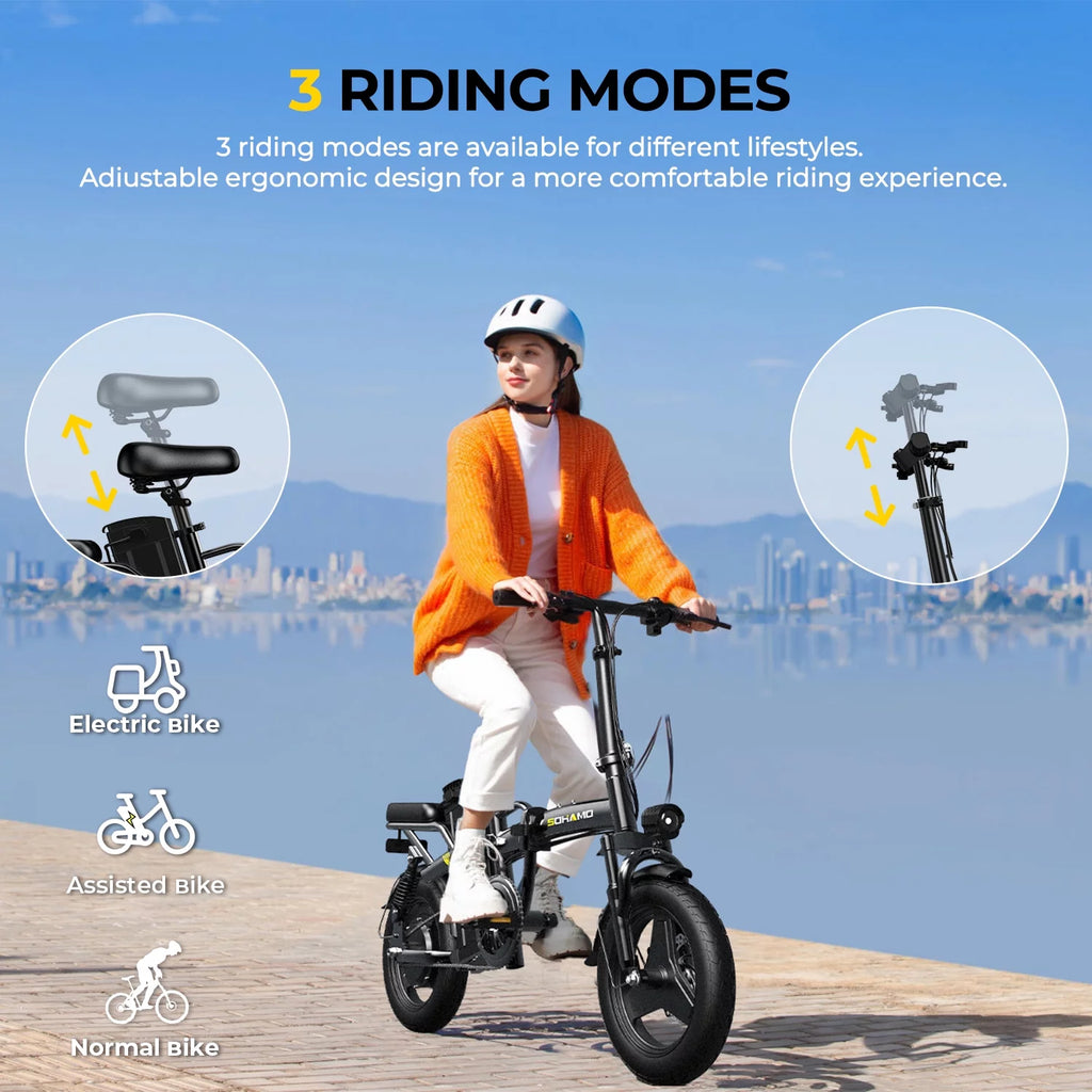 Folding Electric Bike 400W 48V 13Ah Z73178