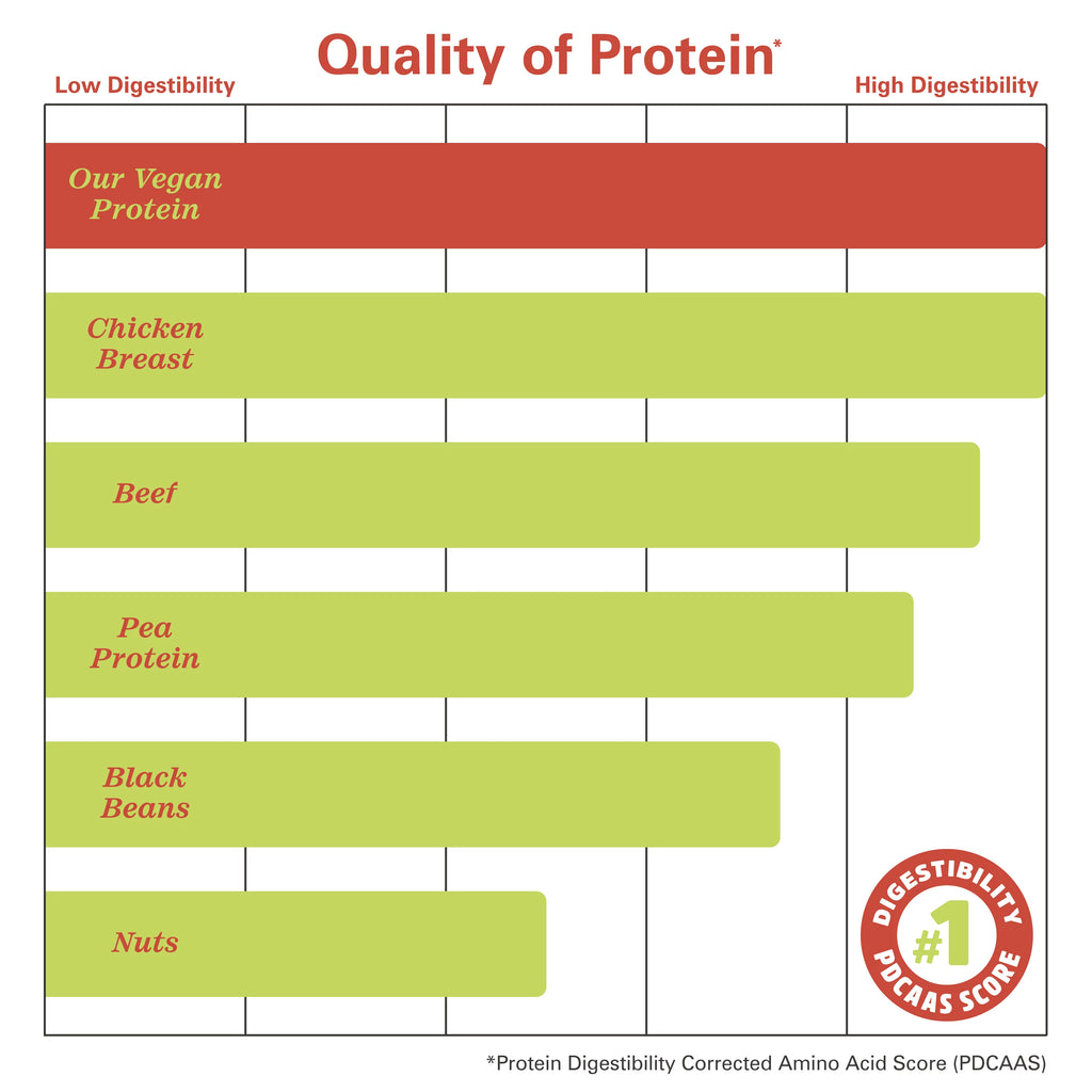 Chocolate Plant Protein 16 Servings V9346
