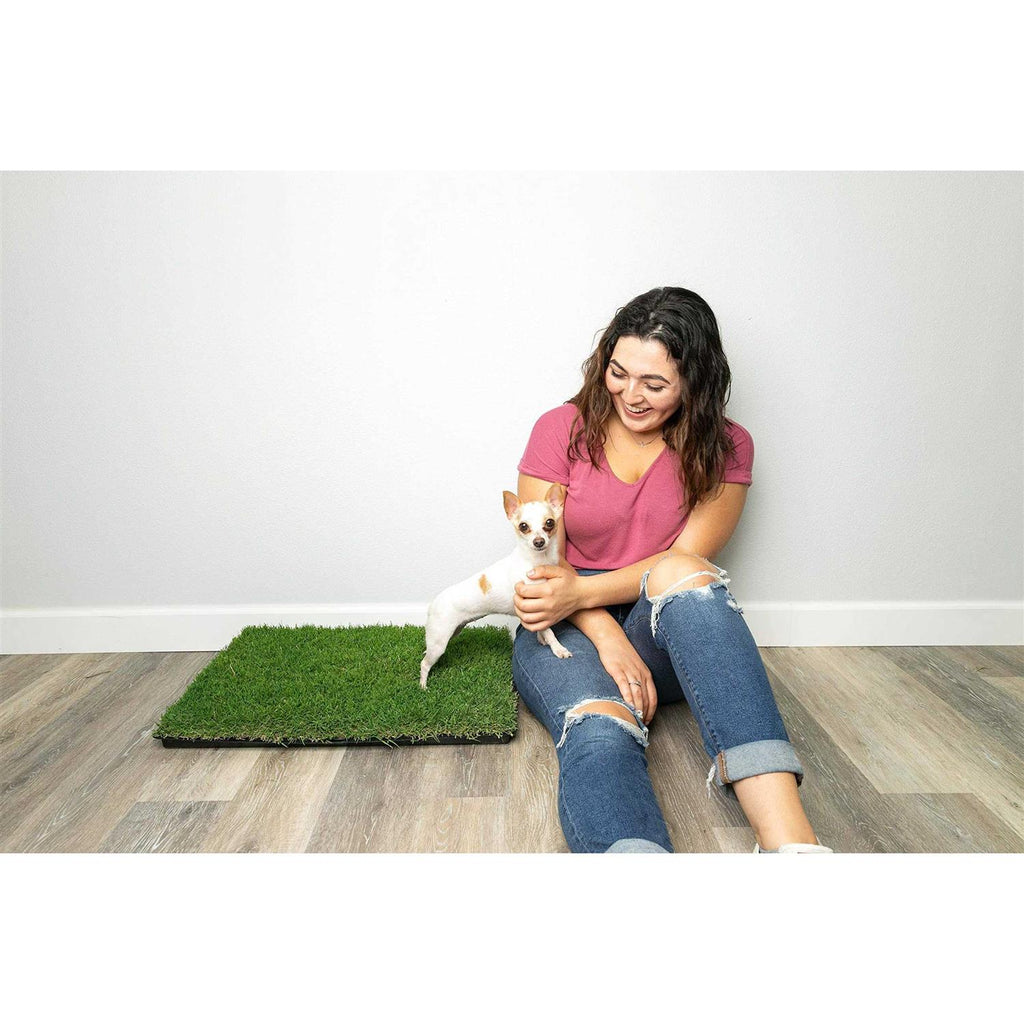 Grass with Tray V721