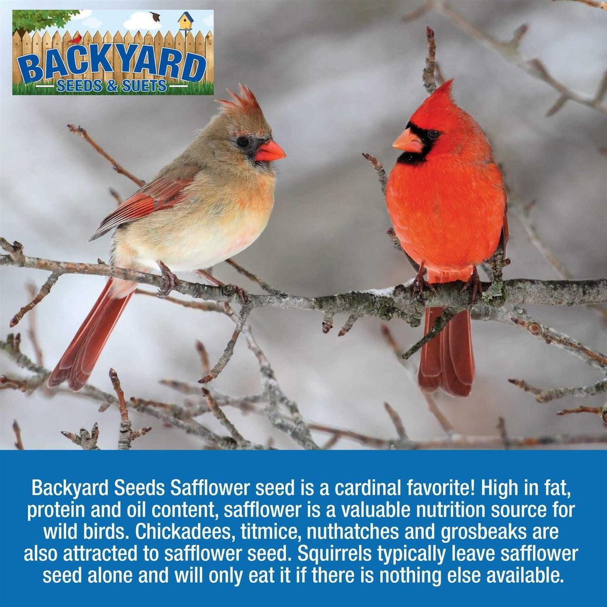 Safflower Bird Seed D666293