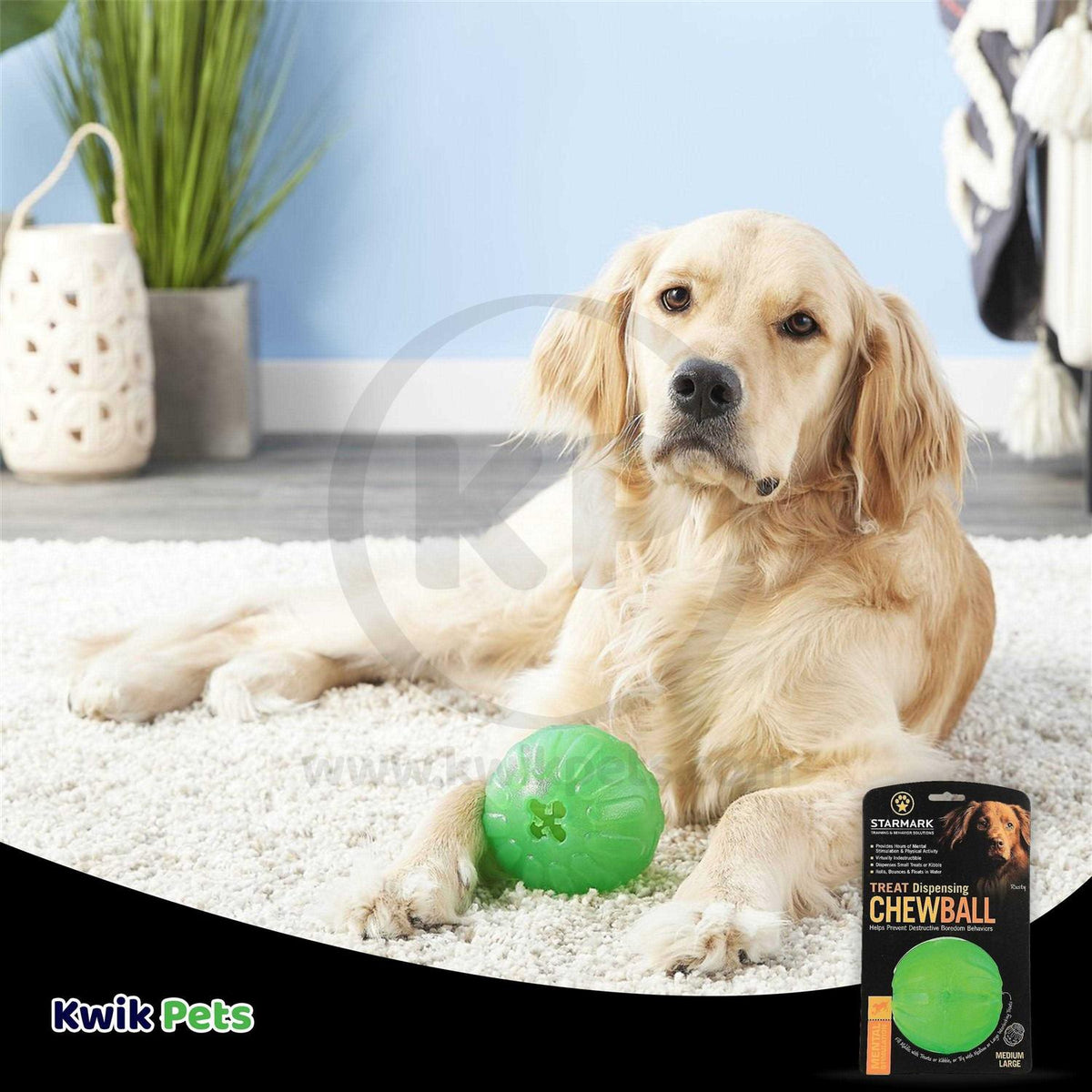Treat Dispensing Chew Ball I134