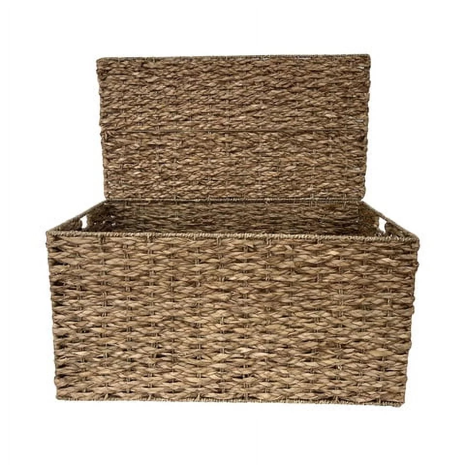 Large Storage Trunk X531170