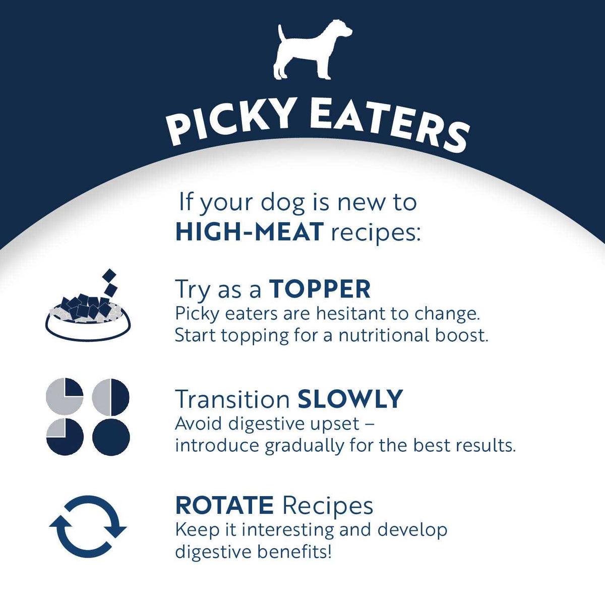 Canned Dog Food R12496