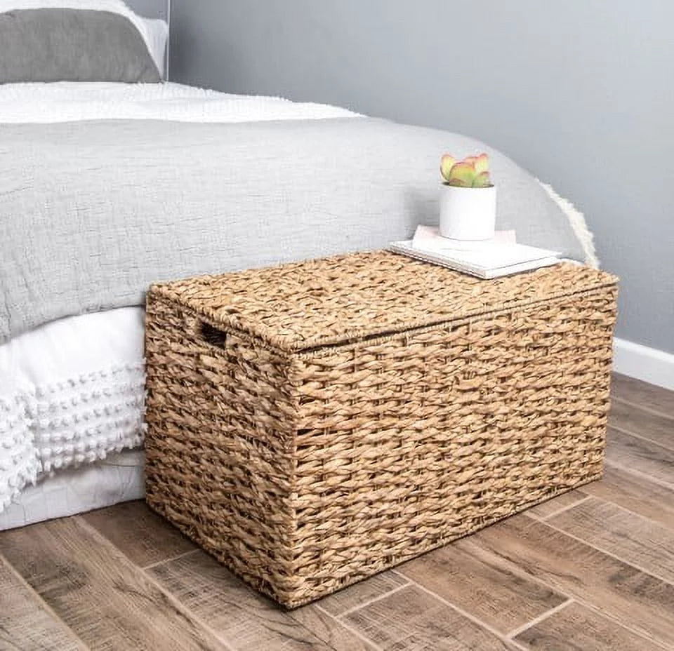 Large Storage Trunk X531170