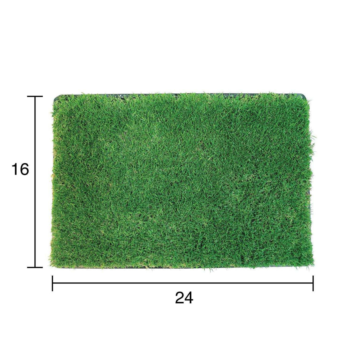 Grass with Tray V721