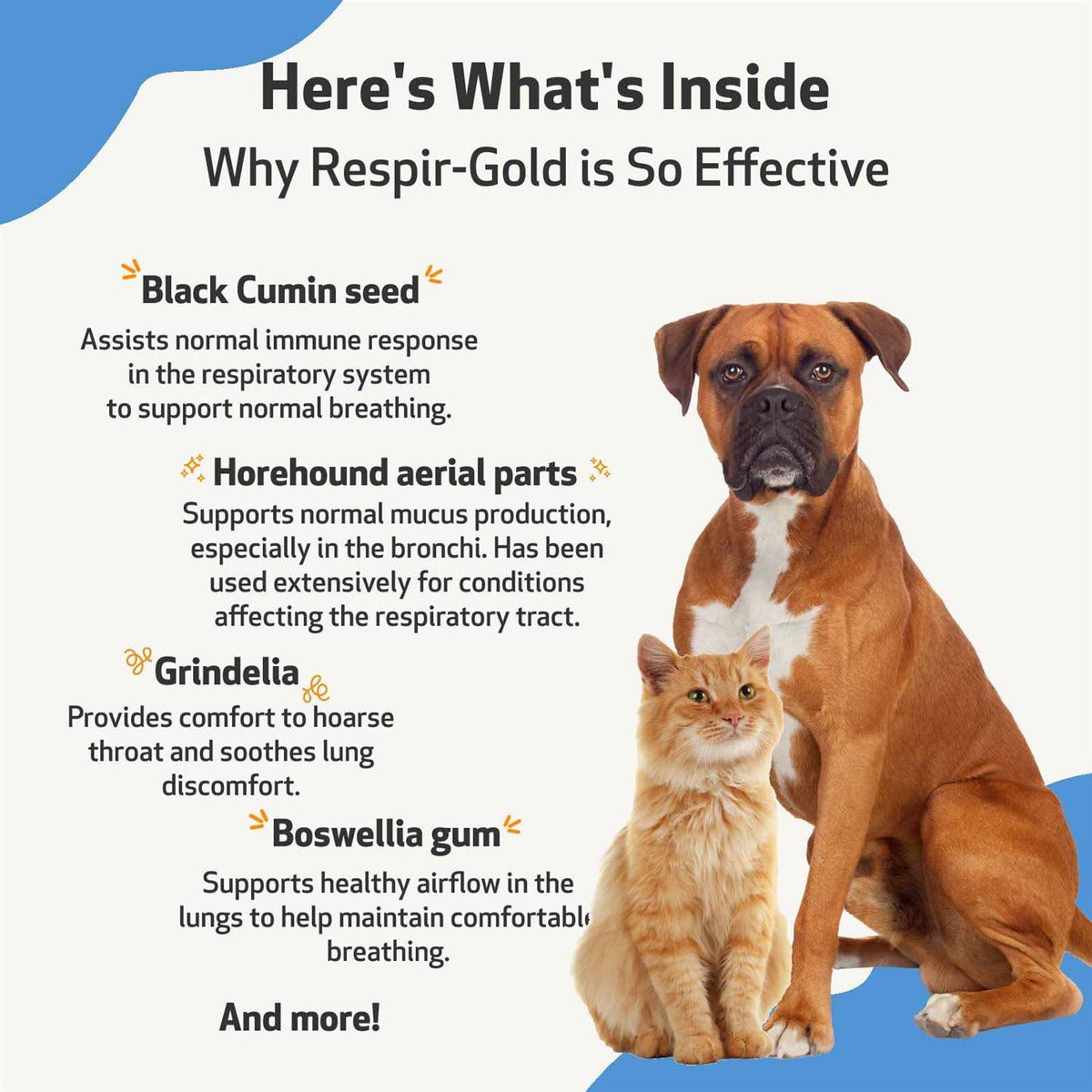 Easy Breathing Cat Supplies M664137
