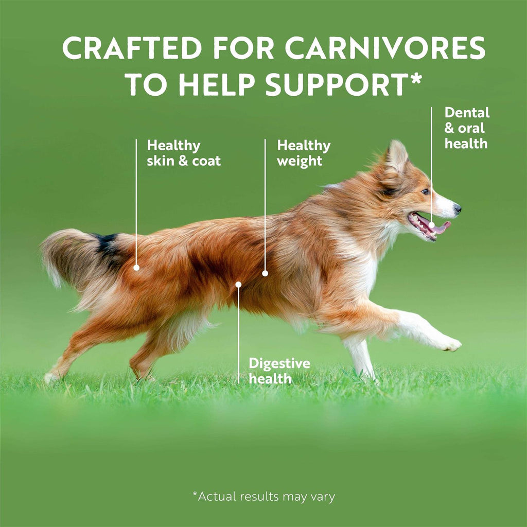 Canned Dog Food R12496