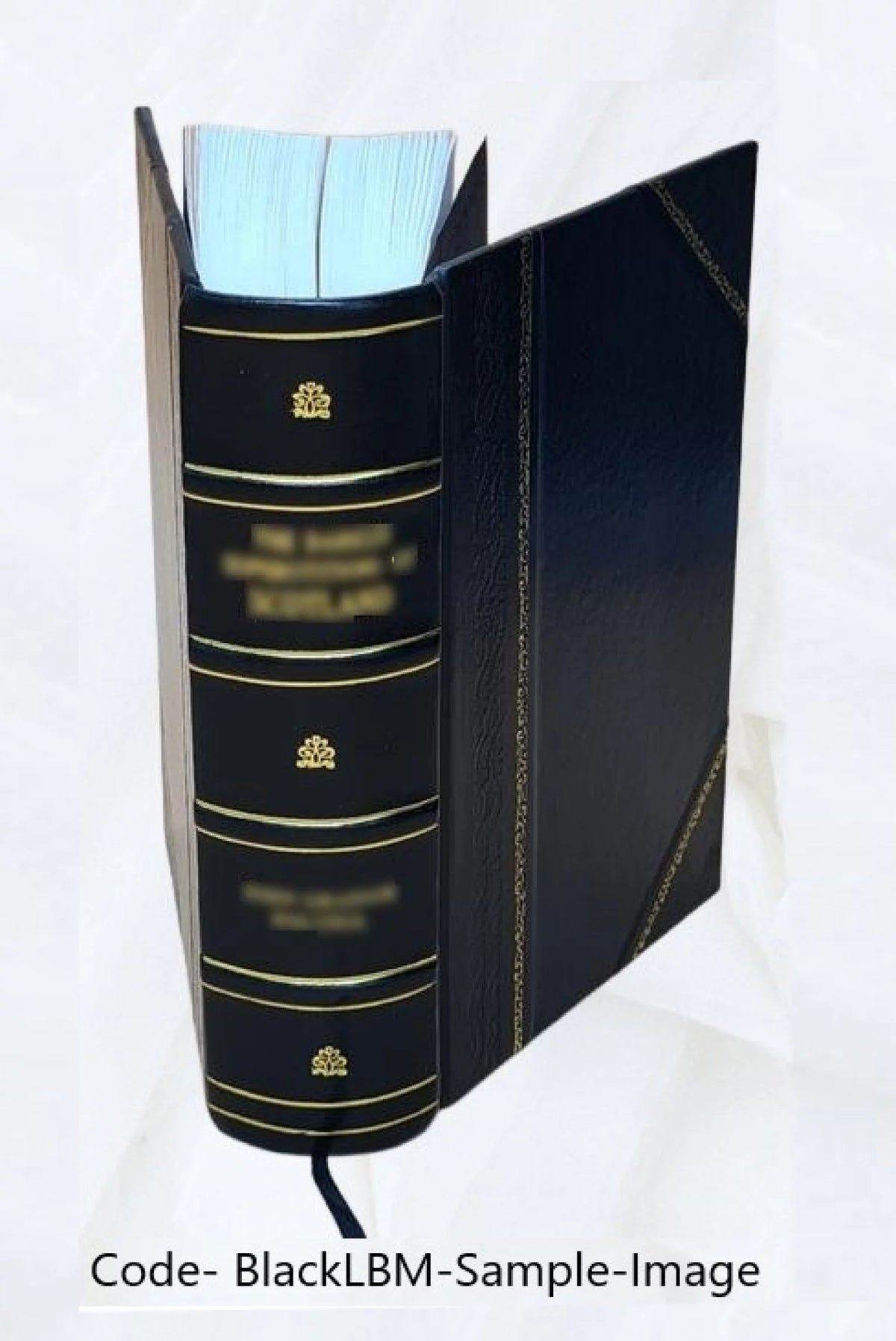 Obstetrical Practice Leather Bound B25977