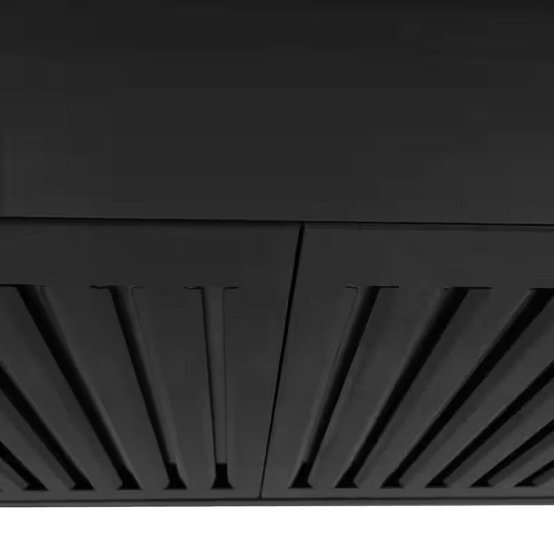 Black Stainless Steel 42 in. 400 CFM Convertible Wall Mount Range Hood D60554