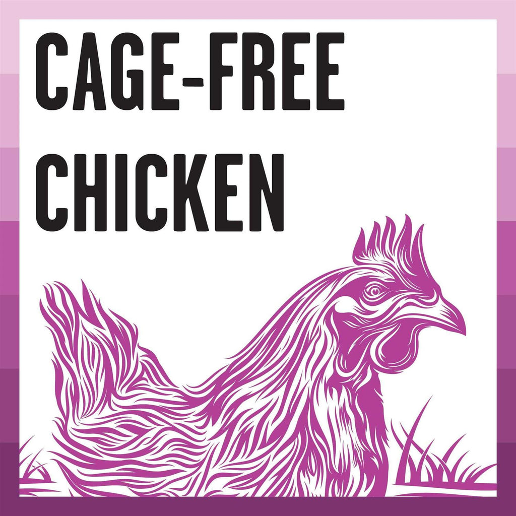 Chicken Recipe Dry Cat Food F29622
