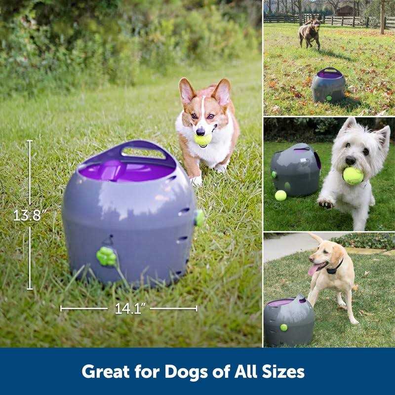 Automatic Ball Launcher Dog Toy T78324