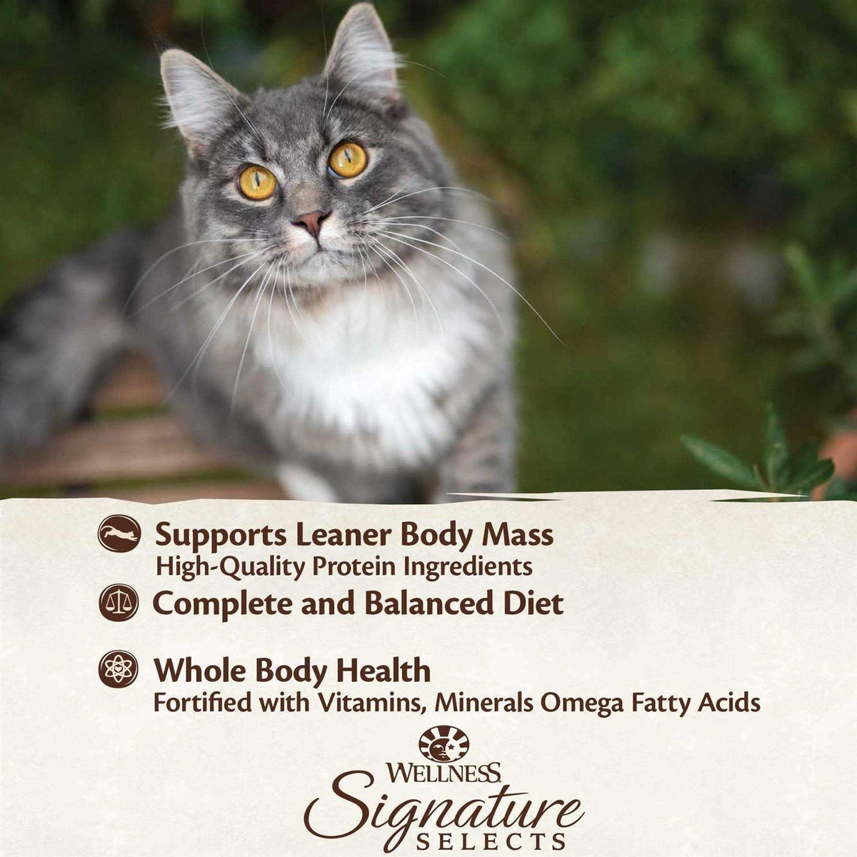 Natural Grain Free Tuna & Salmon Cat Food I56063
