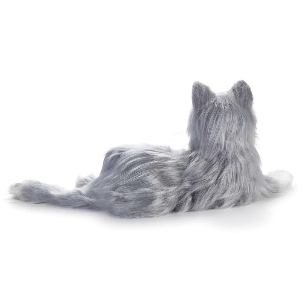 Companion Pet Cat I59630