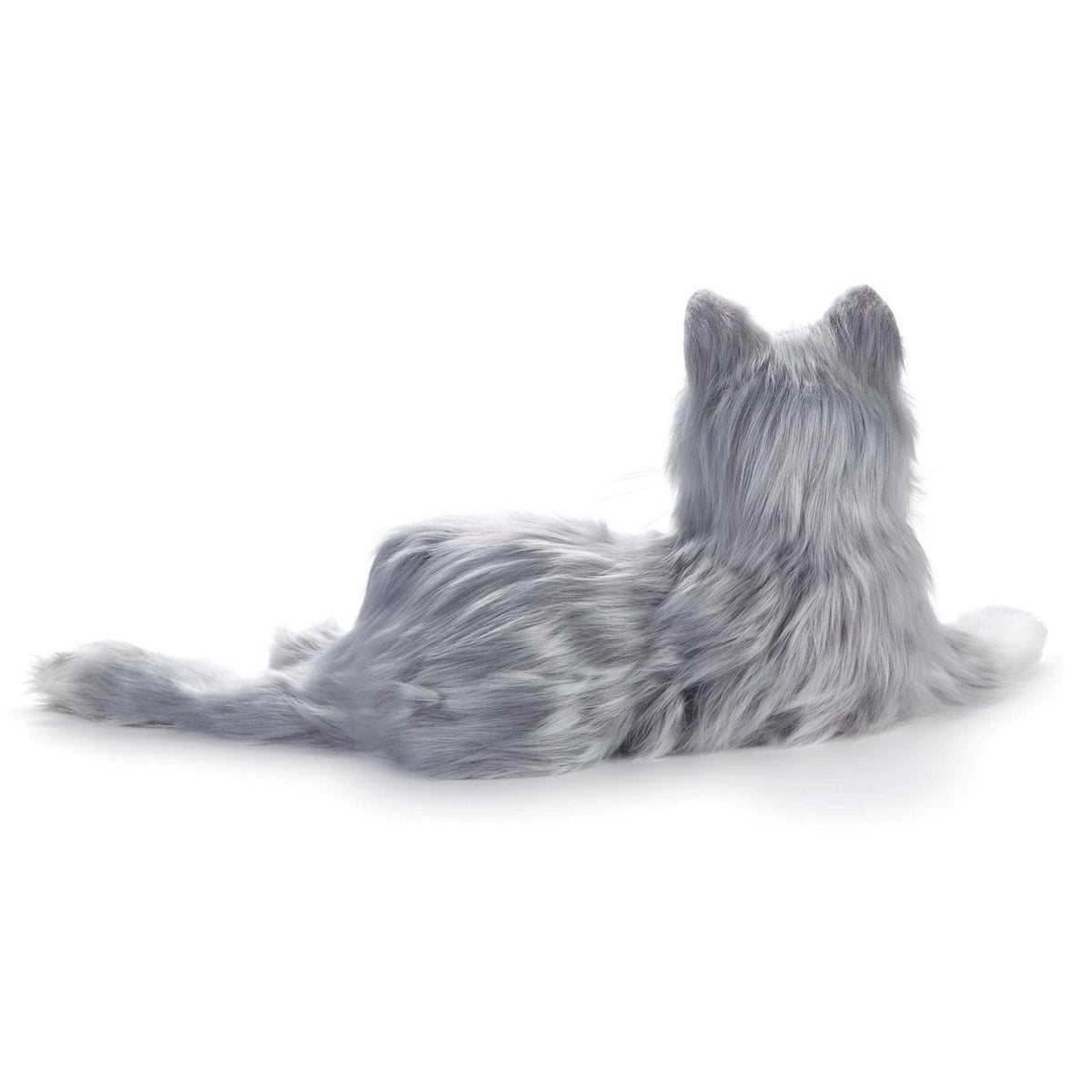 Companion Pet Cat I59630