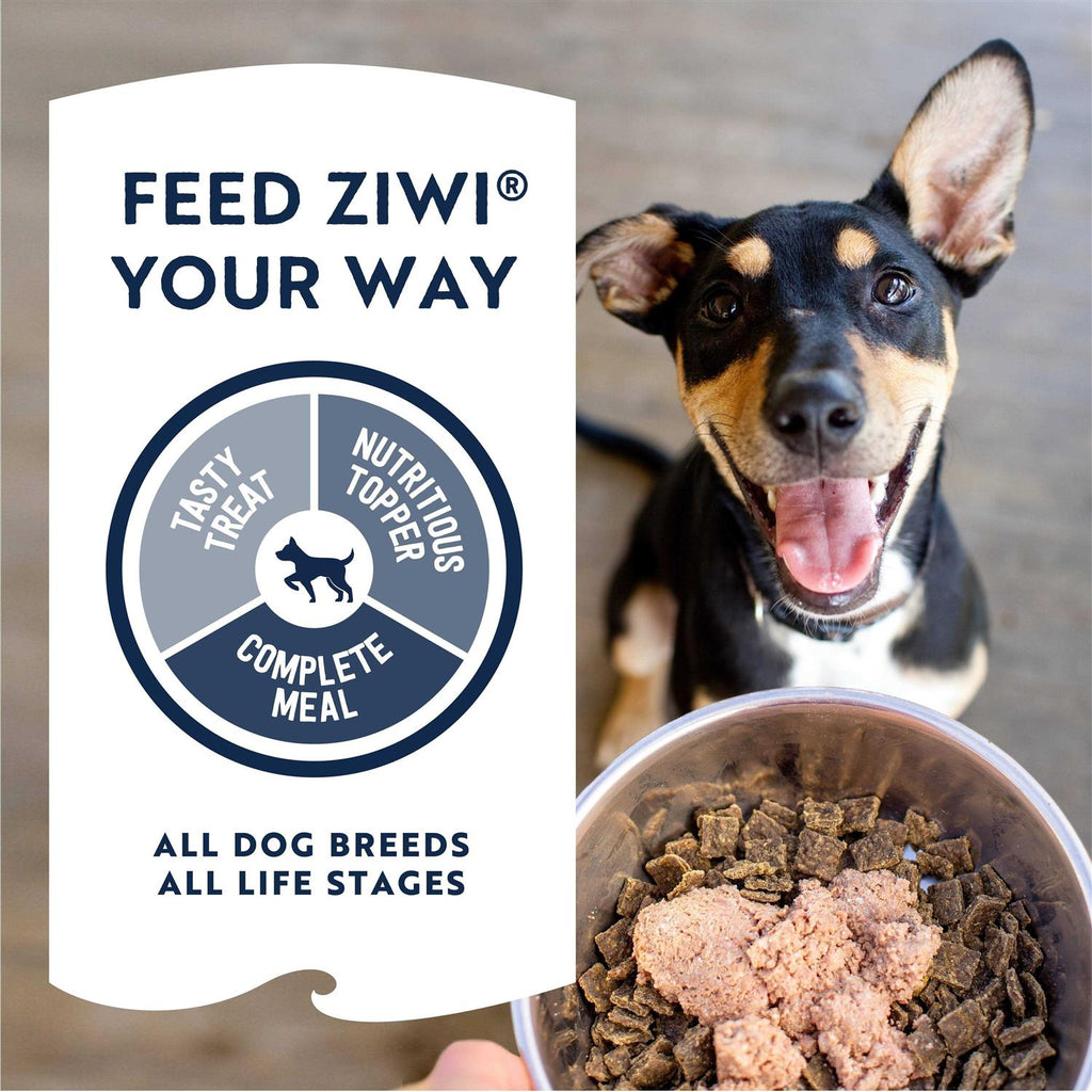 Canned Dog Food R12496