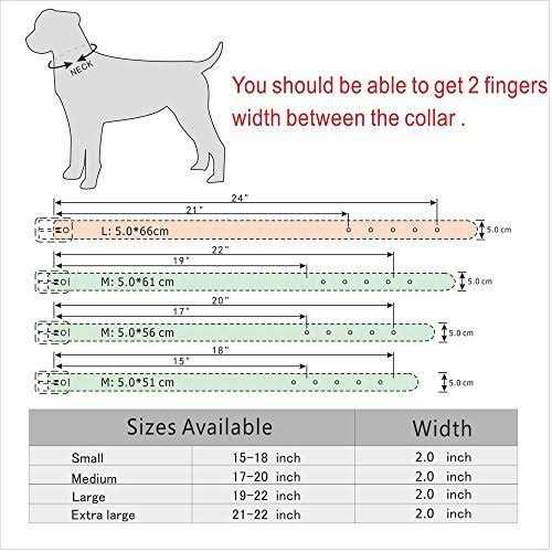 Leather Dog Collar 2 Inch T137883