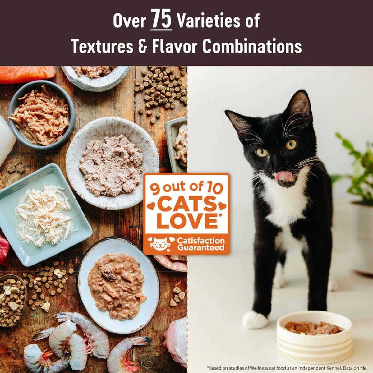 Natural Grain Free Tuna & Salmon Cat Food I56063