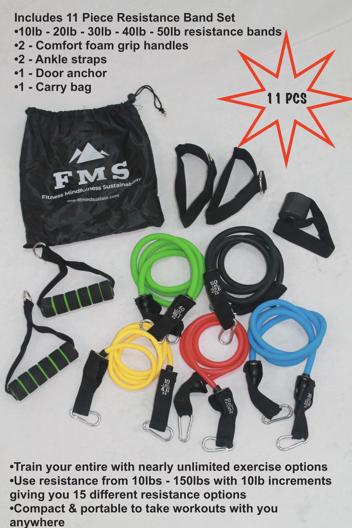 Portable Home Gym Set with 11pc Resistance Band Set, Stability Ball, Exercise Mat Q1919