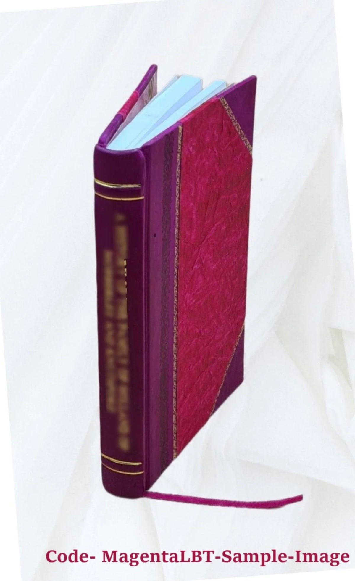 Leather Bound G534482