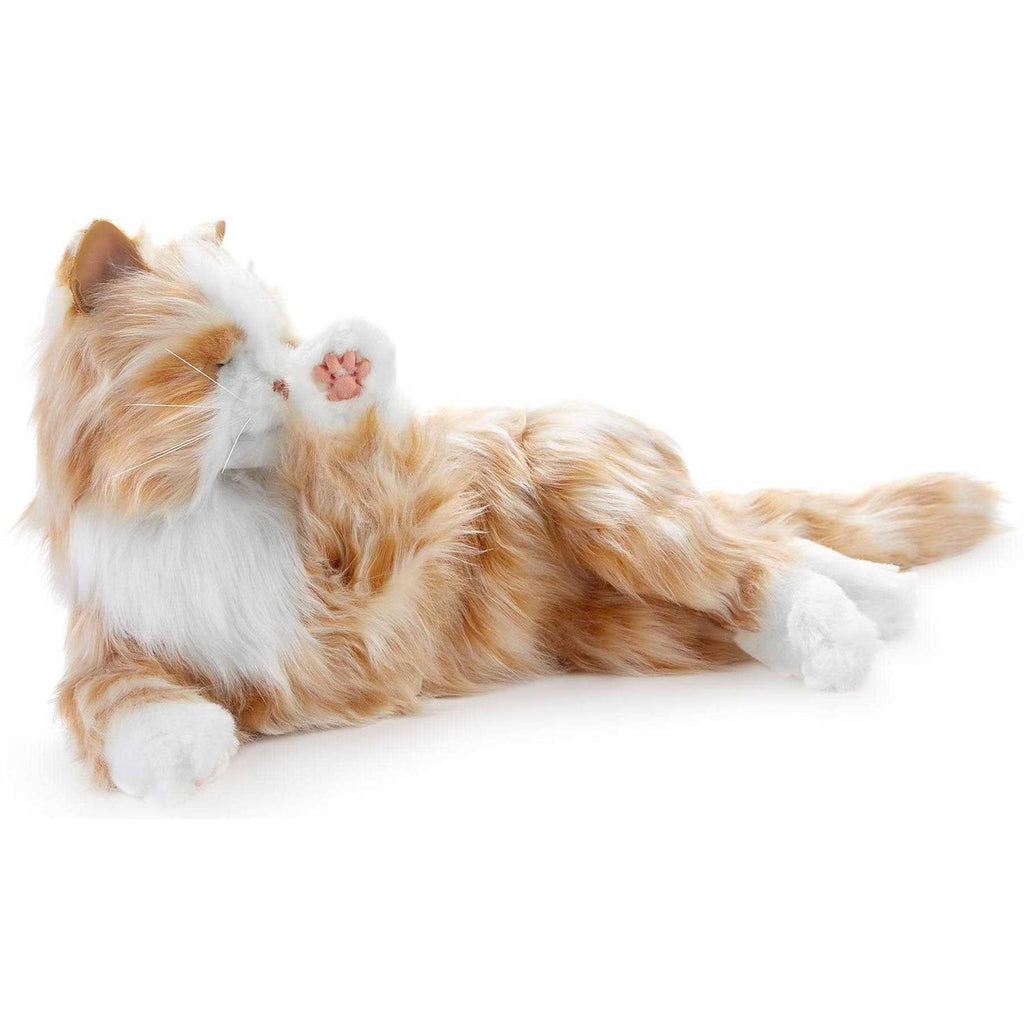 Companion Pet Cat I59630