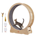 Large Cat Exercise Wheel with Detachable Carpet and Cat Teaser M267