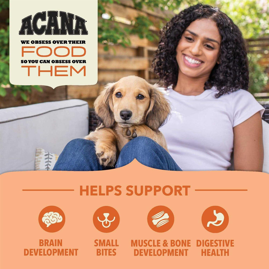 Dry Dog Food Y80864