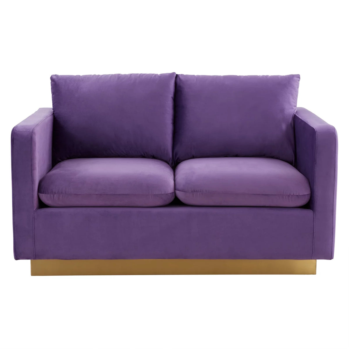 Upholstered Velvet Loveseat with Gold Frame N326