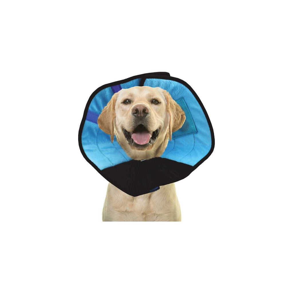 Cat Calming Collar Z1996