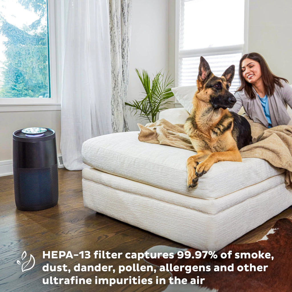 HEPA Quiet Air Purifier with Plasma Ion Technology C664