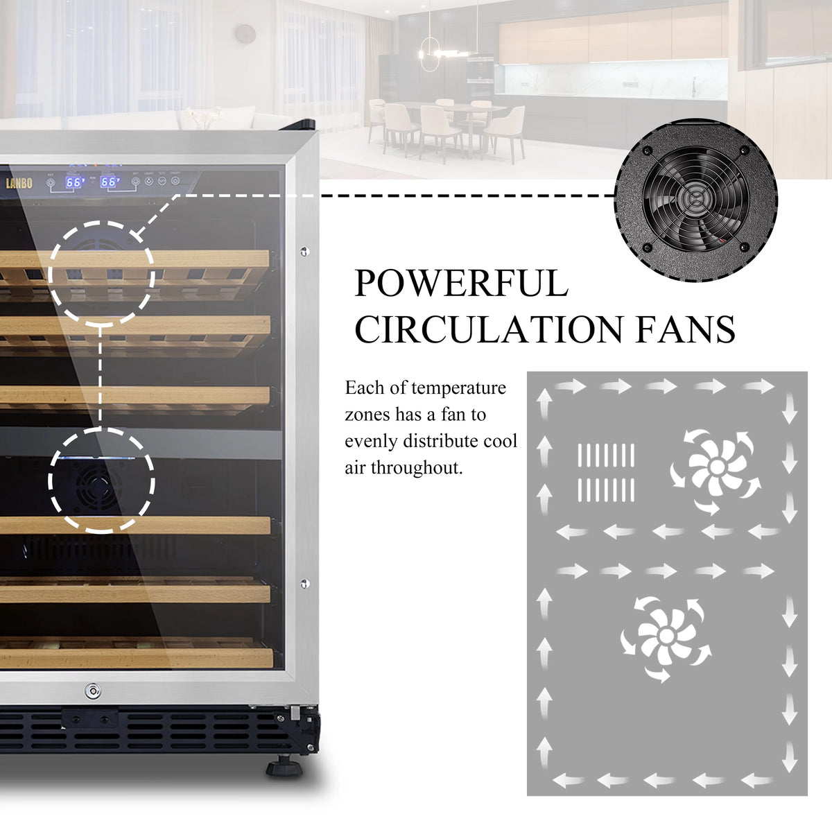 24 inch 44 Bottle Dual Zone Wine Cooler D1016