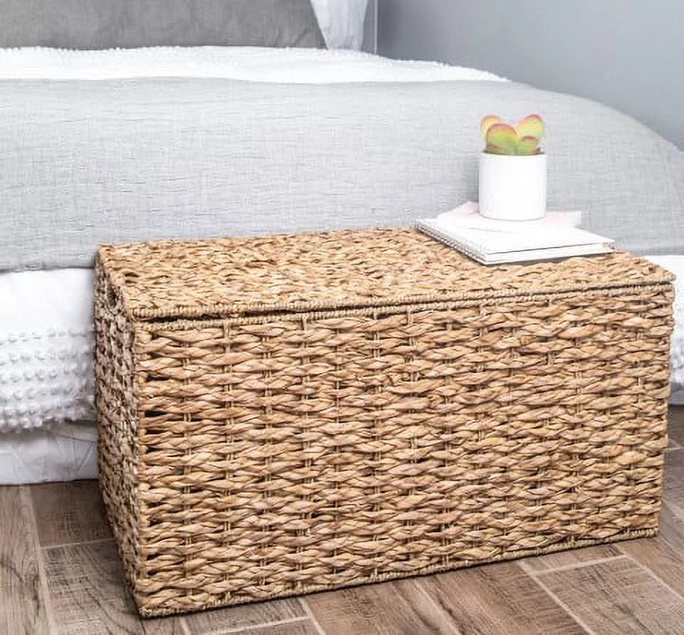 Large Storage Trunk X531170
