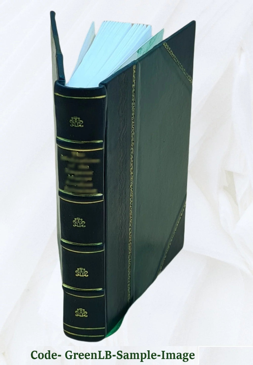 Leather Bound Y6149