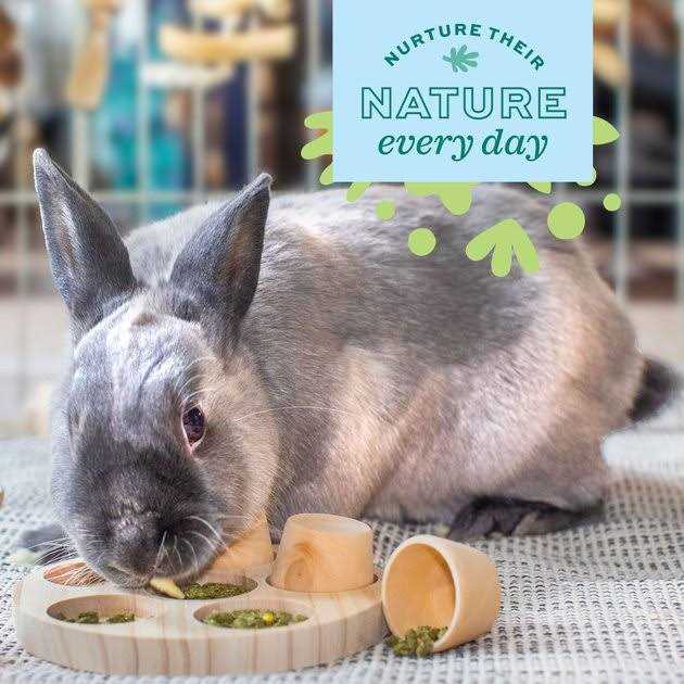 Enriched Life Garden Forage Puzzle A774325